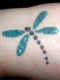 All Face Painting, Body Painting, and Special Effects Images on this site are Copyright@Cool Faces.