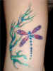All Face Painting, Body Painting, and Special Effects Images on this site are Copyright@Cool Faces.
