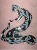 All Face Painting, Body Painting, and Special Effects Images on this site are Copyright@Cool Faces.