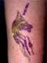 All Face Painting, Body Painting, and Special Effects Images on this site are Copyright@Cool Faces.