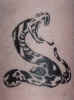 All Face Painting, Body Painting, and Special Effects Images on this site are Copyright@Cool Faces.