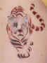 All Face Painting, Body Painting, and Special Effects Images on this site are Copyright@Cool Faces.