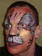 Face Painting: Adult male with black and grey tiger face on gold and orange base.