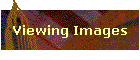 Viewing Images